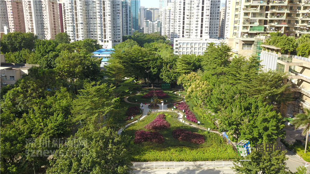  鵬城眼|我的實事我做主！5年辦理“民生微實事”6774件}